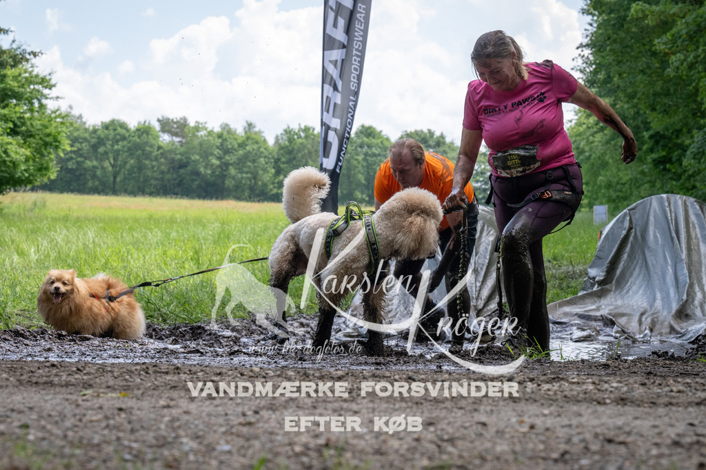 1143_ZZ94245 | kk-dogfotos
