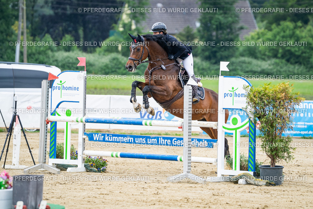 DSC03536 | Pferdegrafie