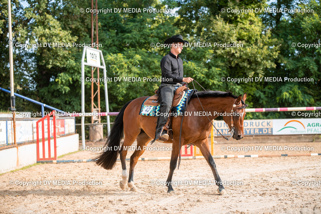 ZS3_9115 | dv-media-shop - Realisiert mit Pictrs.com