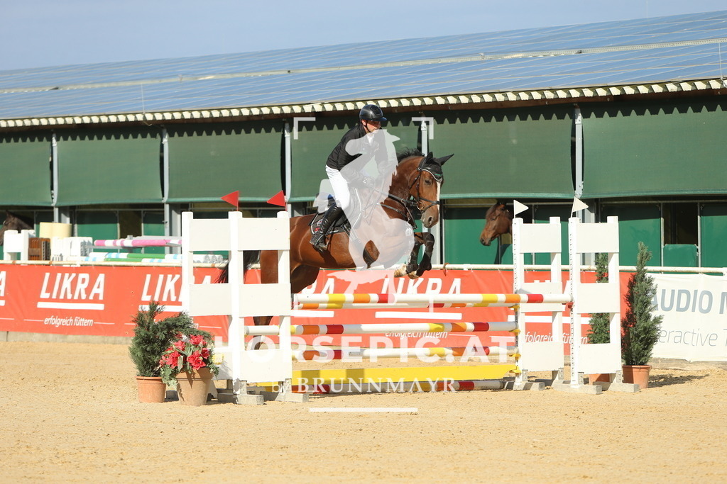 DL2Q4945 | Willkommen bei Brunnmayr - Design & Fotografie – Ihrem Spezialisten für Reitturniere und Pferdeveranstaltungen in Oberösterreich, Salzburg und Bayern! Seit über 17 Jahren sind wir leidenschaftlich dabei.