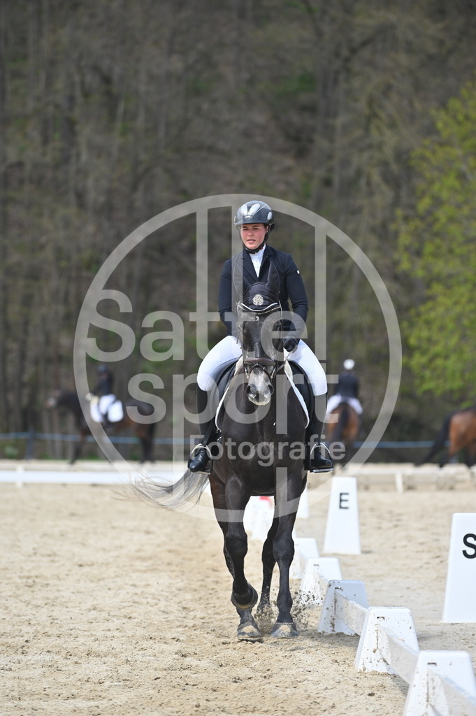 DSC_3030 | sattelsport - Realisiert mit Pictrs.com