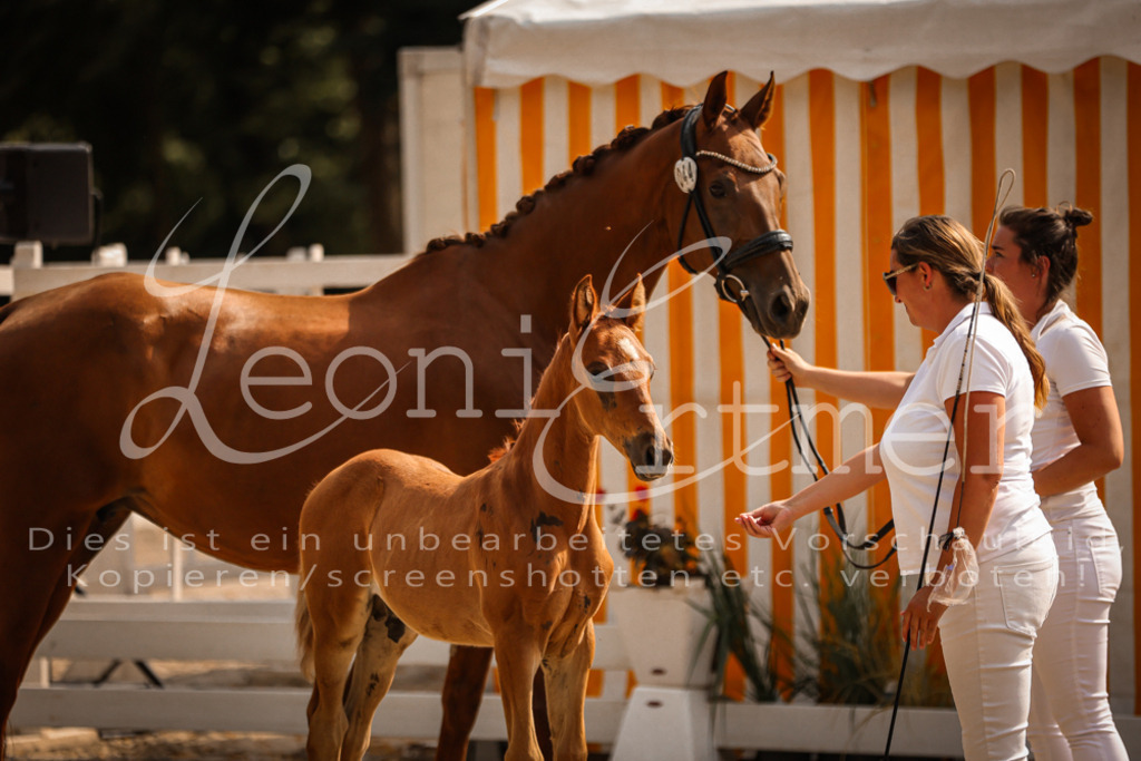 09.DoWBD00075 | Leoni Ertmer Photography - Realisiert mit Pictrs.com