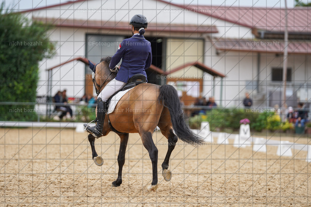 20240825-FAH00068 | Turnierbilder, Reitsportfotos, LAPO, Landesponyturnier, Turnierfotografen Bayern