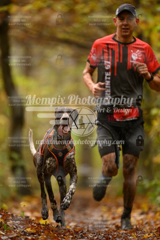 MompixPhotography_CD7S_DI_CCL-21 | mompixphotography