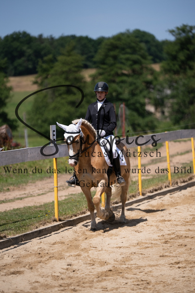 A7V08144 | Pferdefotograf