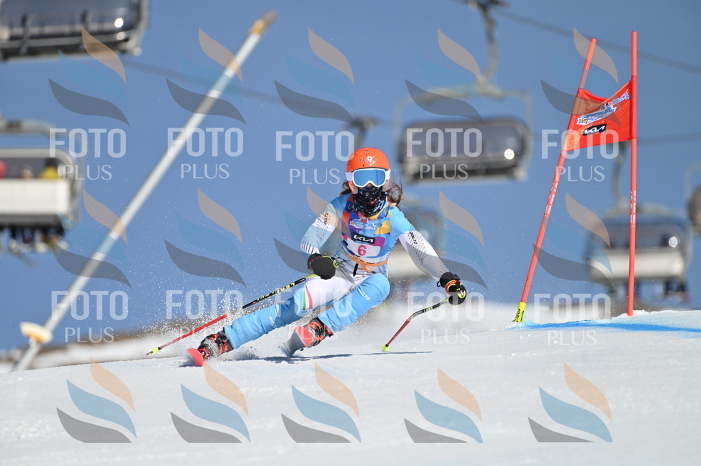 BGV_7662 | holidayphoto