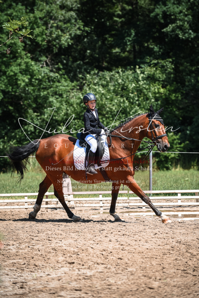 DSC_3007 | Pferde- und Turnierfotografie in Westsachsen. Pferdeportraits, Auftragszeichnungen und intuitive Kunst.