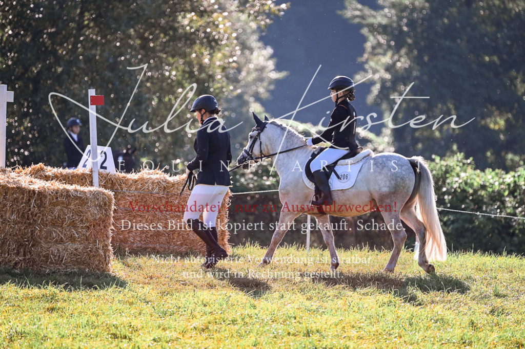 DSC_0428 | Pferde- und Turnierfotografie in Westsachsen. Pferdeportraits, Auftragszeichnungen und intuitive Kunst.