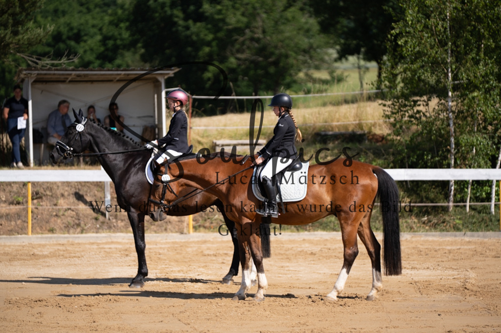 A7V07693 | Pferdefotograf