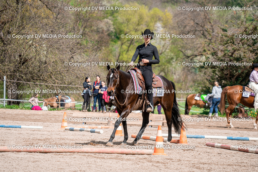 BAL02452 | dv-media-shop - Realisiert mit Pictrs.com