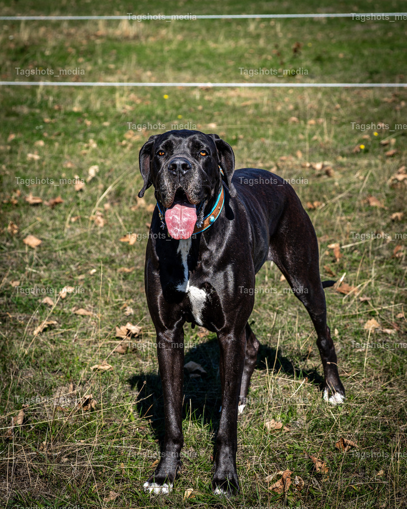 A7507063 | tagshotsmedia - Realisiert mit Pictrs.com