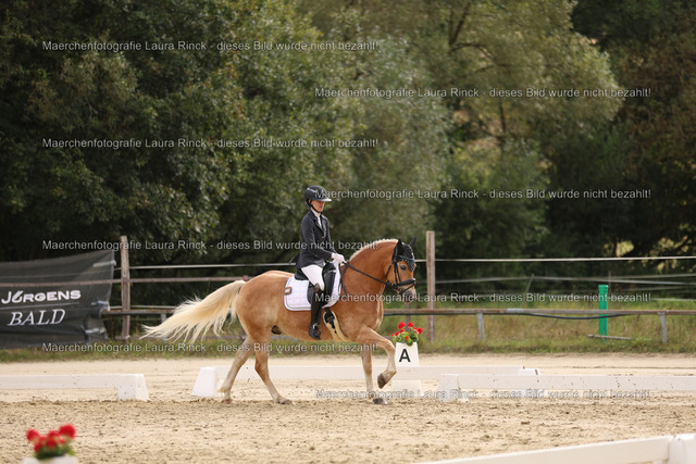 HG9A0649 | laurarinckfotografie - Realisiert mit Pictrs.com