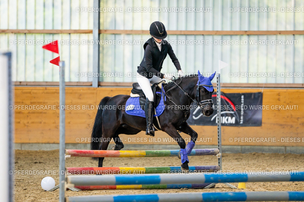 DSC01218 | Pferdegrafie