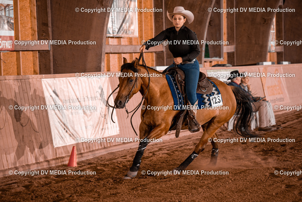 NE201447 | dv-media-shop - Realisiert mit Pictrs.com