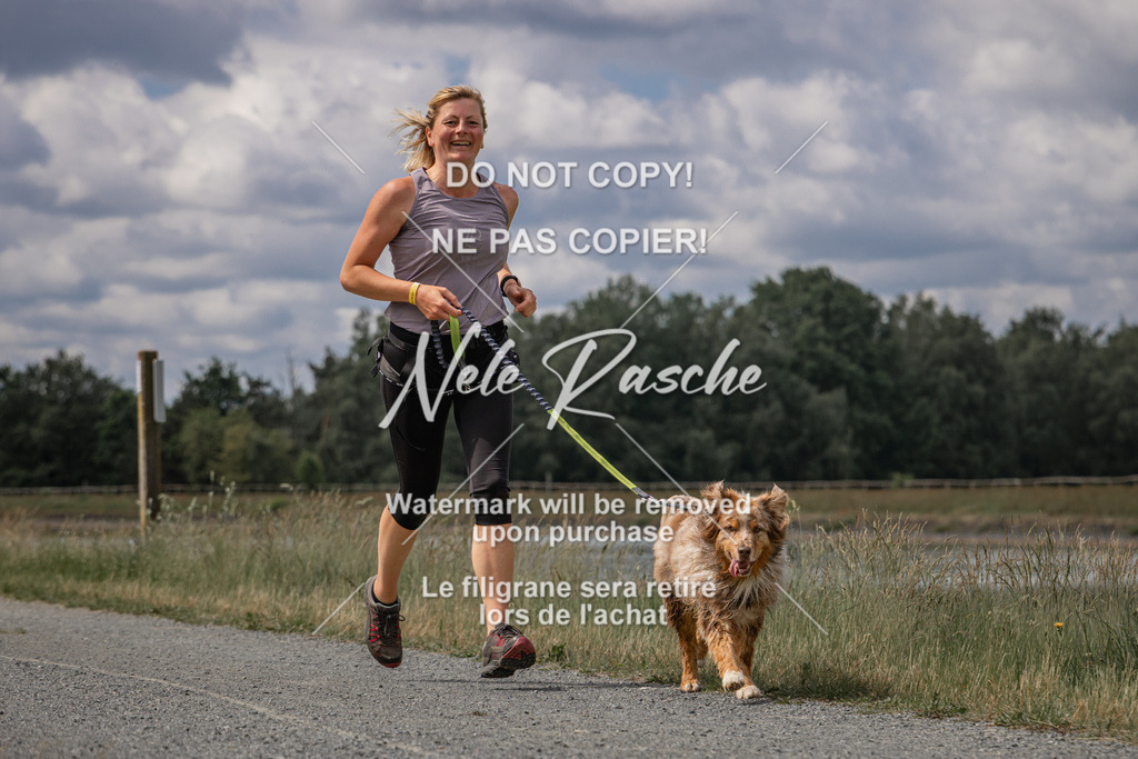 nelerasche_BuHu2026_SaCC1100-1200_88 | nelerasche