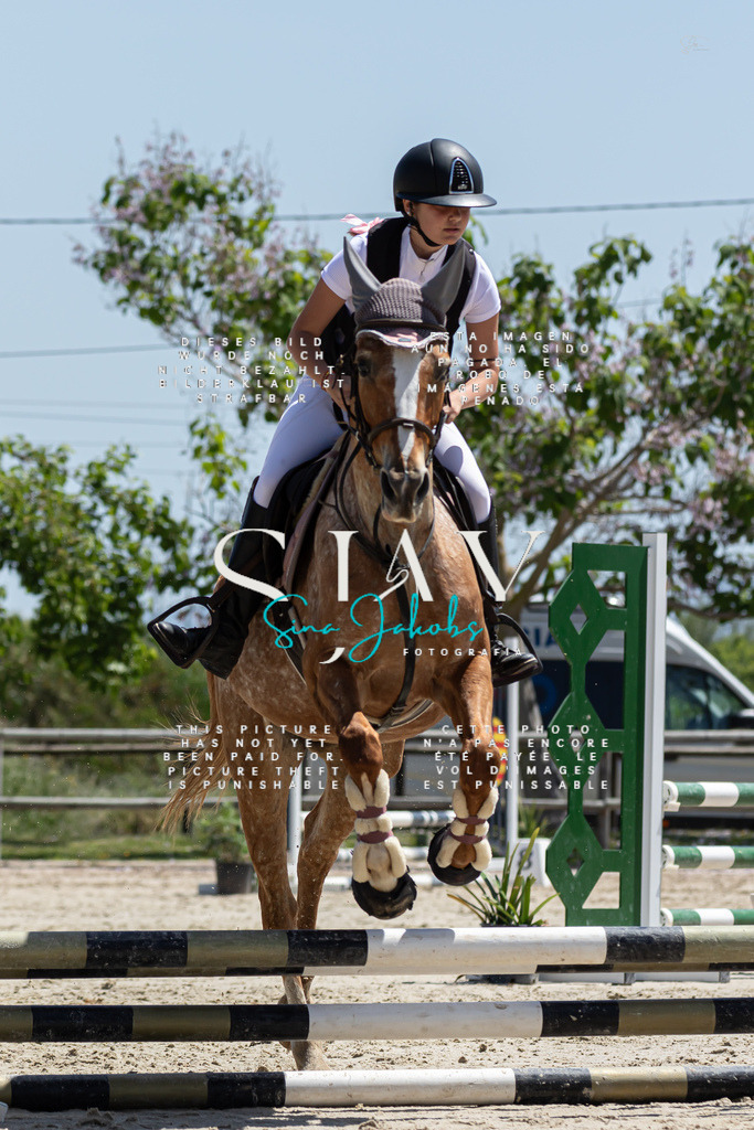 IMG_0317 | s-jay-photography - Realized with Pictrs.com