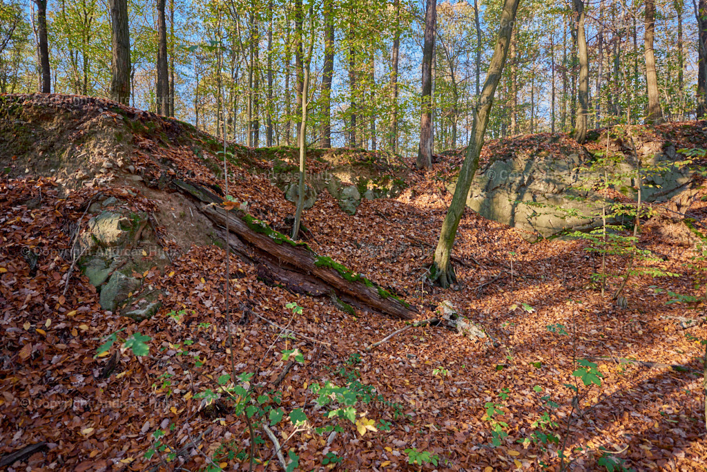 Der Grauwacke-Steinbruch am Fuß des Colmberges  01 | Bedeutsame Landschaften Deutschlands - Realisiert mit Pictrs.com