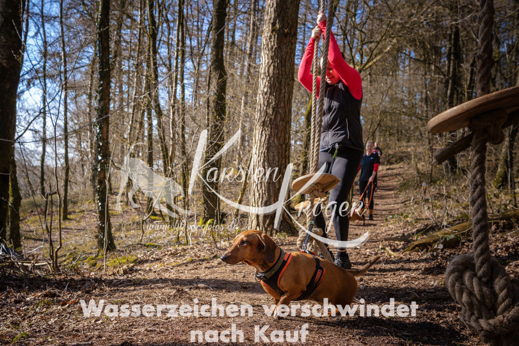 0920_ZZ97344 | kk-dogfotos