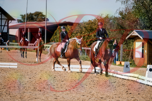 2026_10_03_Siefer-Hof_130504_Z63_68419041 | Professionelle Reitsport-, Turnier- und Eventfotografie von Robert Broda. Galerien mit ausgewählten und bearbeiteten Bildern direkt online ansehen und bestellen.
