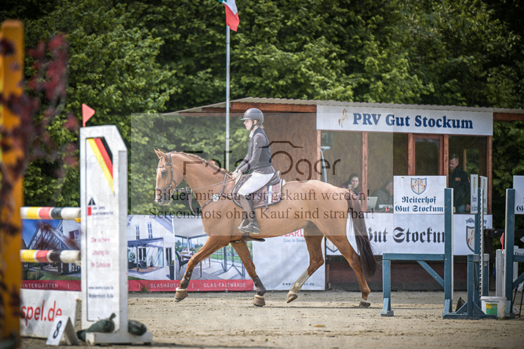 DOS_4665 | Entdecke hochwertige Reitturnierfotos von Foto Oger. Professionell, emotional und authentisch – jetzt Lieblingsmomente im Shop bestellen.Deutschlandweite Turnierfotografie. - Realisiert mit Pictrs.com