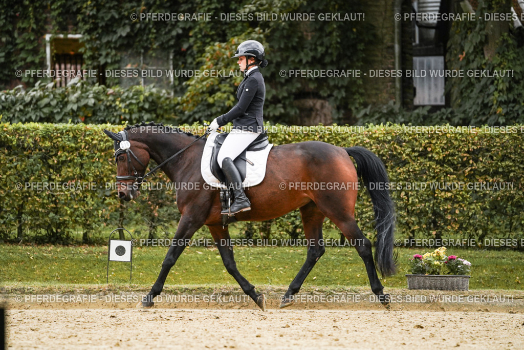 DSC07024 | Pferdegrafie