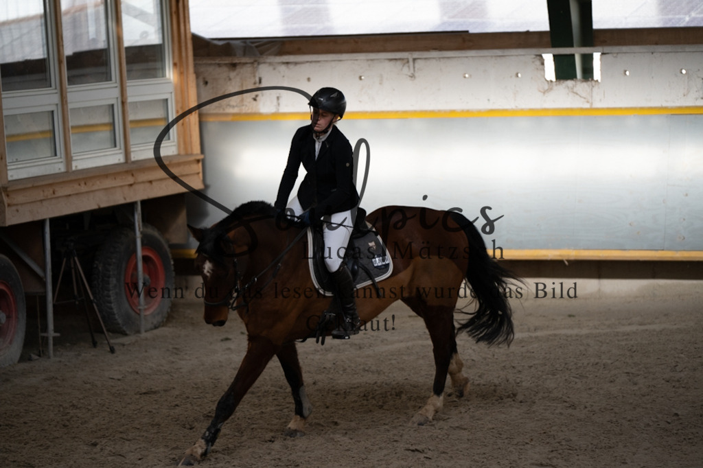 A7V02243 | Pferdefotograf