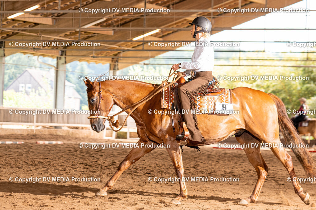 Erbach Tag 1-275 | dv-media-shop - Realisiert mit Pictrs.com