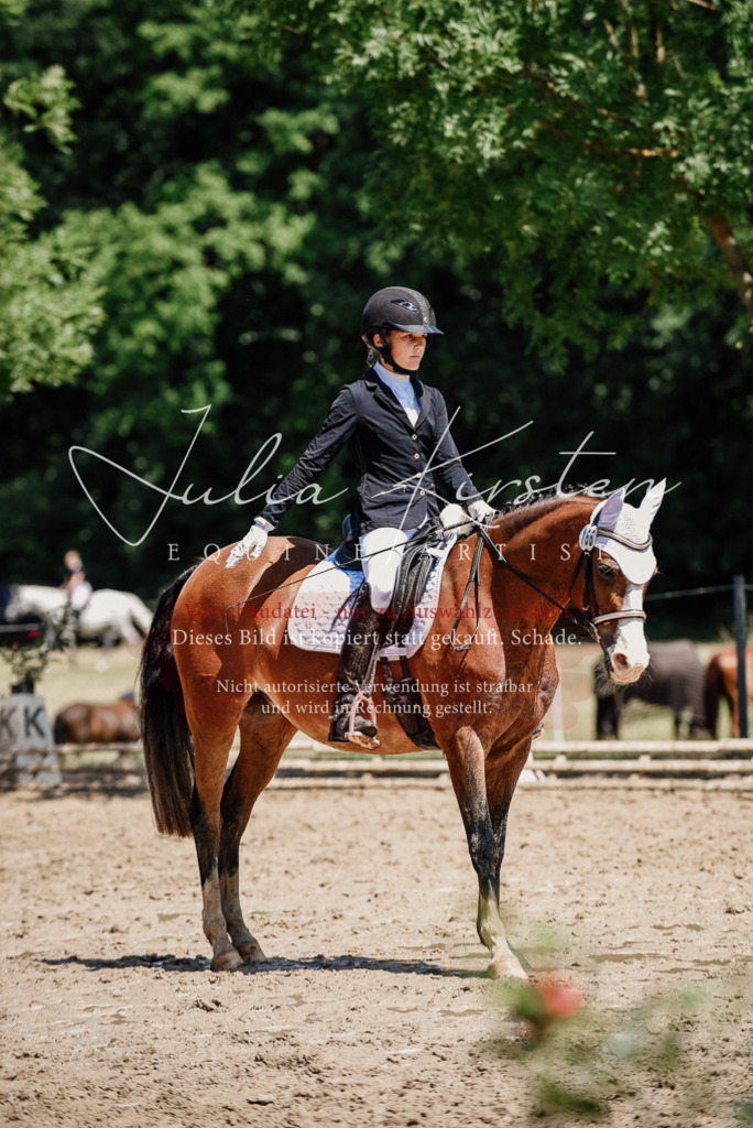 DSC_1968 | Pferde- und Turnierfotografie in Westsachsen. Pferdeportraits, Auftragszeichnungen und intuitive Kunst.
