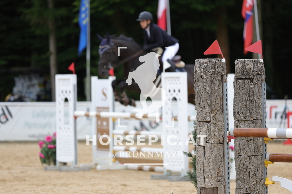 0P6A2052 | Willkommen bei Brunnmayr - Design & Fotografie – Ihrem Spezialisten für Reitturniere und Pferdeveranstaltungen in Oberösterreich, Salzburg und Bayern! Seit über 17 Jahren sind wir leidenschaftlich dabei.