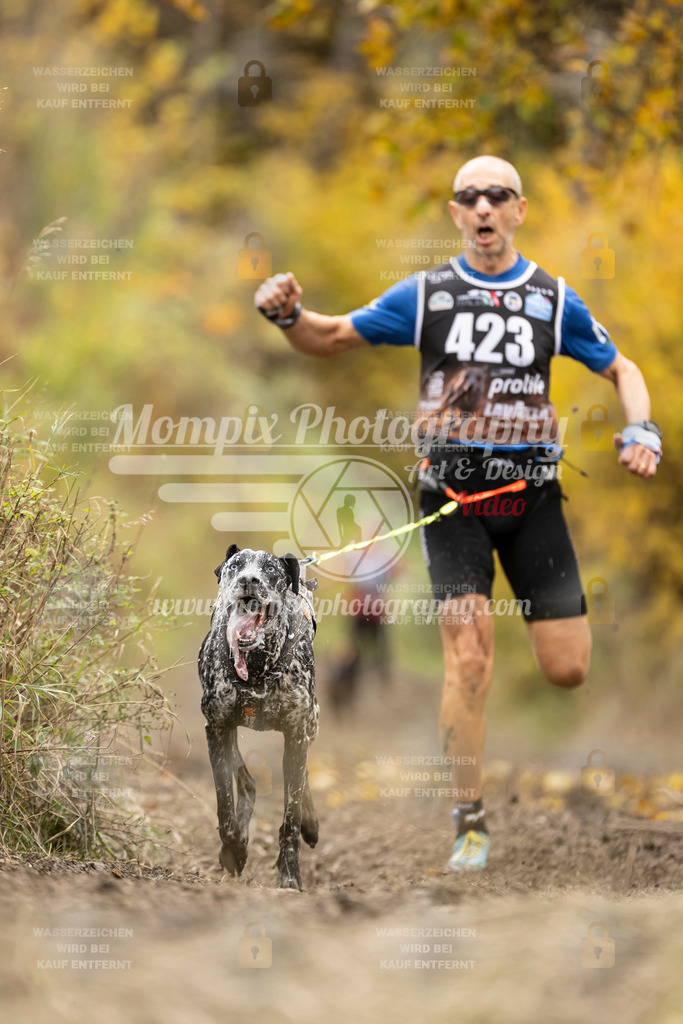 MompixPhotography_ICF_WC_2024_SA_Run_-409 | PayLife