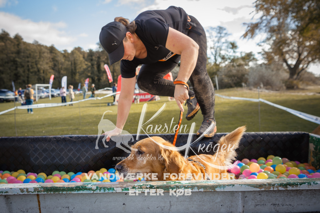 1311_ZZ99519-2 | kk-dogfotos
