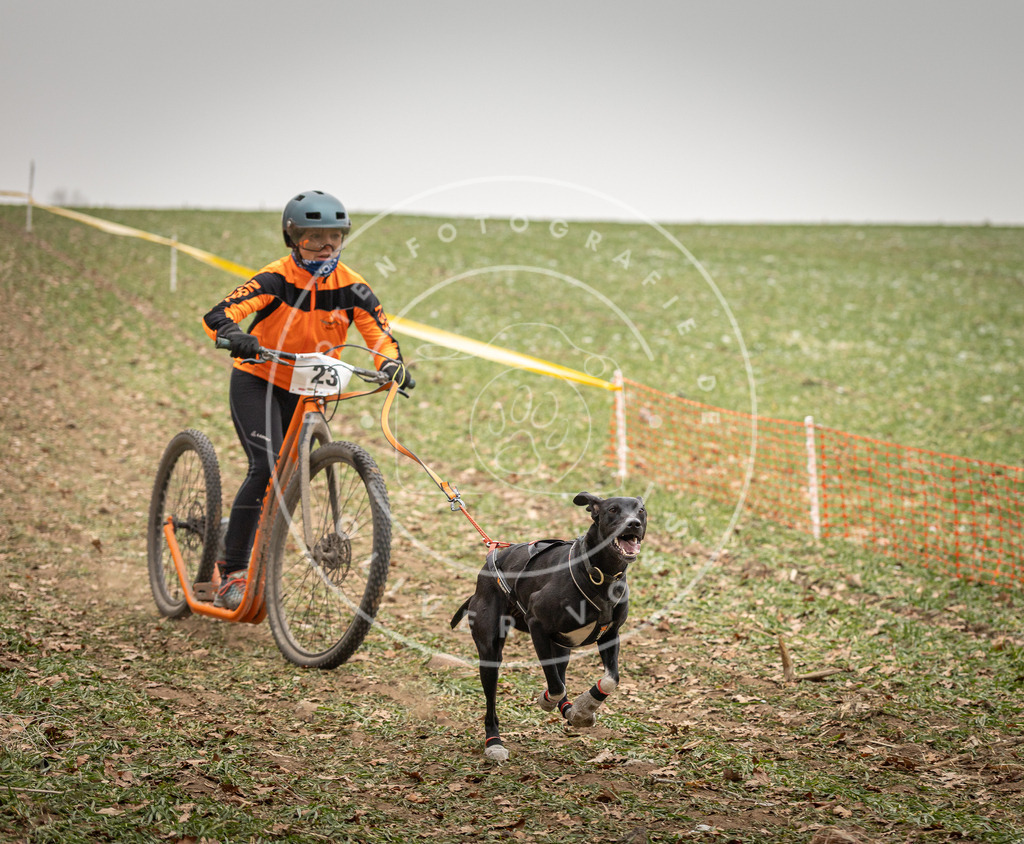 Pfotenfotografie_DV3A3760 | Hundefotografie, Tierfotograf, Pfotenfotografie, Fotoshooting Hund, Hunde Portrait, Hundesport, Hundeportraits, Heideshooting, Hunde, Sportfotograf, Hundefotograf, Turnierhundsport, THS,  - Realisiert mit Pictrs.com