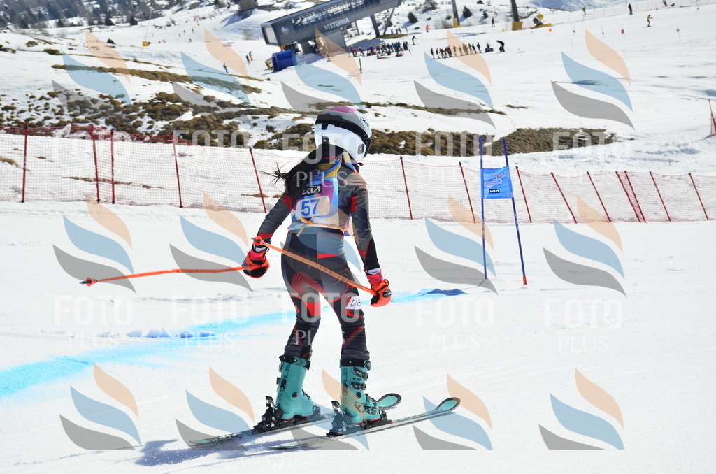 _ELE0206 | holidayphoto