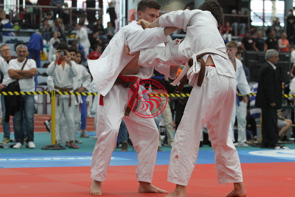 JT6F8860 | Fotos vom Adler Cup - Pictures from Adler Cup

Hier findet Ihr alle Eindrücke und großen Momente der Adler Cup Wochenenden. Here you will find all impressions and great moments of the Adler Cup weekends. - Realisiert mit Pictrs.com