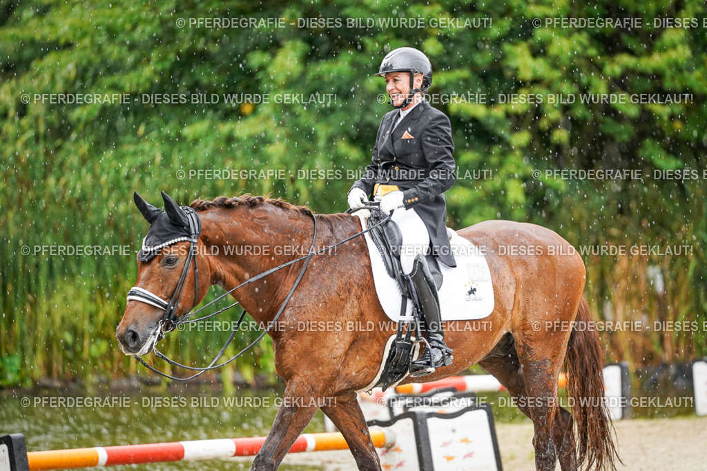 DSC09193 | Pferdegrafie