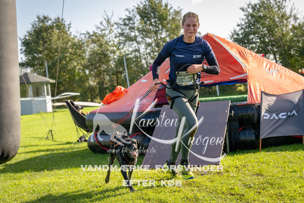 1114-91919 | kk-dogfotos