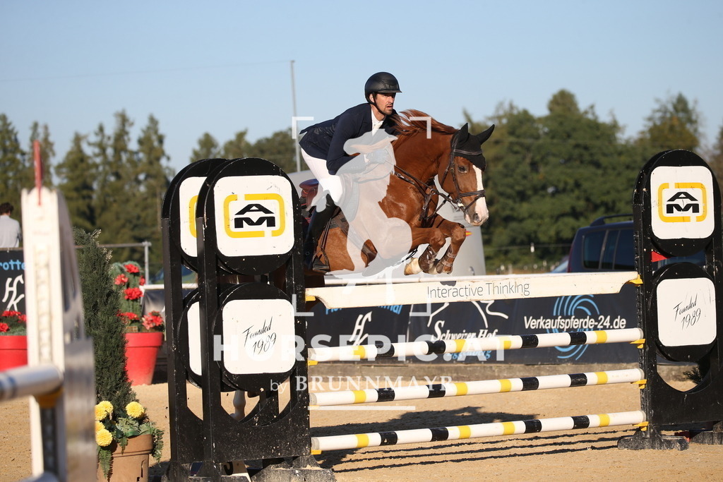 DL2Q4396 | Willkommen bei Brunnmayr - Design & Fotografie – Ihrem Spezialisten für Reitturniere und Pferdeveranstaltungen in Oberösterreich, Salzburg und Bayern! Seit über 17 Jahren sind wir leidenschaftlich dabei.