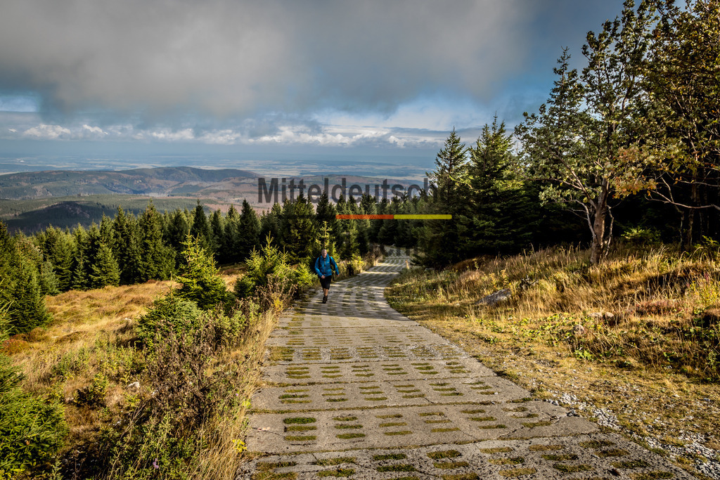 innerdeutsche Grenze Grünes Band Brocken Ilsenburg Eckerntal-0039 | Die innerdeutsche deutsch-deutsche Grenze, das Grüne Band - Realisiert mit Pictrs.com
