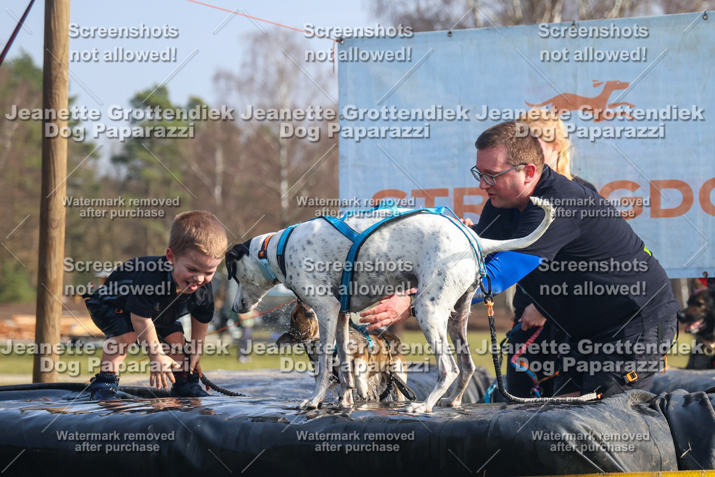 Dog Paparazzi - Strongdog North Mrz26-1871 | Dog Paparazzi Jeanette Grottendiek Fotografie & Videografie - Realisiert mit Pictrs.com