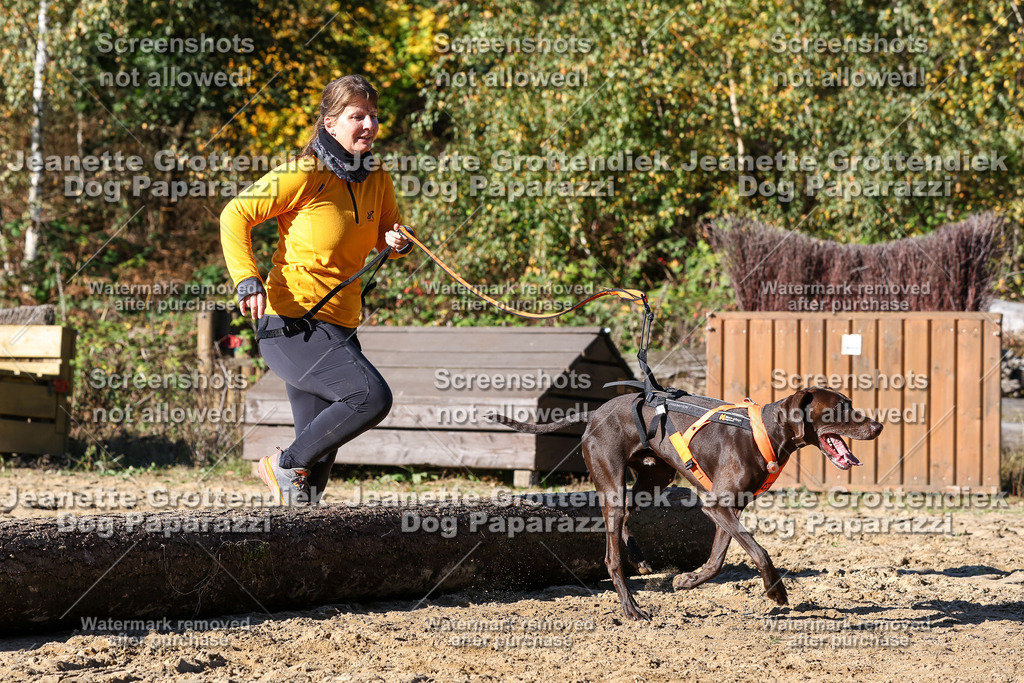 Dog Paparazzi - Strongdog 10-25-2293 | Dog Paparazzi Jeanette Grottendiek Fotografie & Videografie - Realisiert mit Pictrs.com