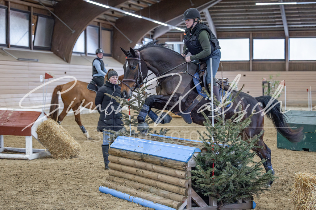 20260221-_3LI0039 | Tierfotografie Pferde, Hunde, Katzen, Haustiere.
Turnierfotografie Reitturniere, Reiten, Springreiten, Dressur in Hanau, dem Main-Kinzig-Kreis und dem Rhein-Main- Gebiet um Frankfurt