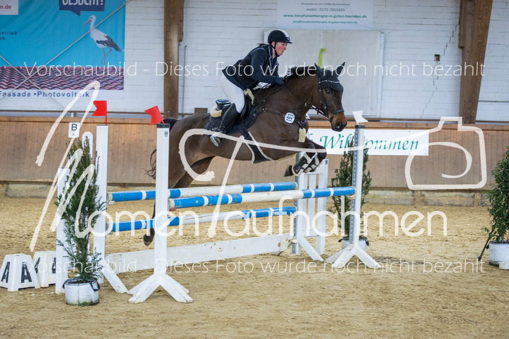 Sth-LPO25-A2St-044 | MomenTaufnahmen Pferdesportfotos