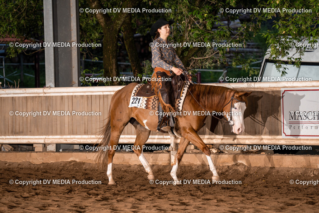 Erbach Tag 1-1161 | dv-media-shop - Realisiert mit Pictrs.com