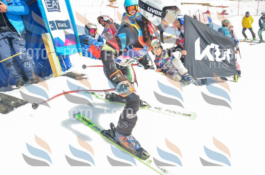 _ELE5858 | holidayphoto