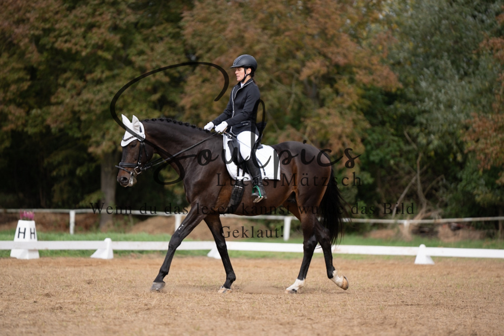 A7V05260 | Pferdefotograf