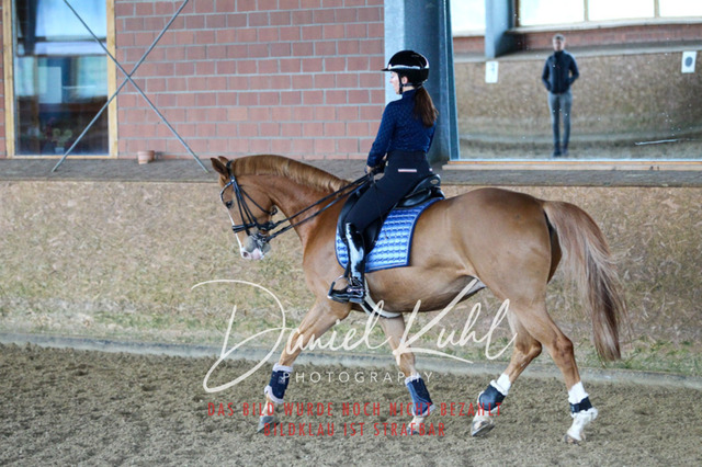 DKP42640 | Turniersportfotografie; Pferdefotografie; Dressurfotografie