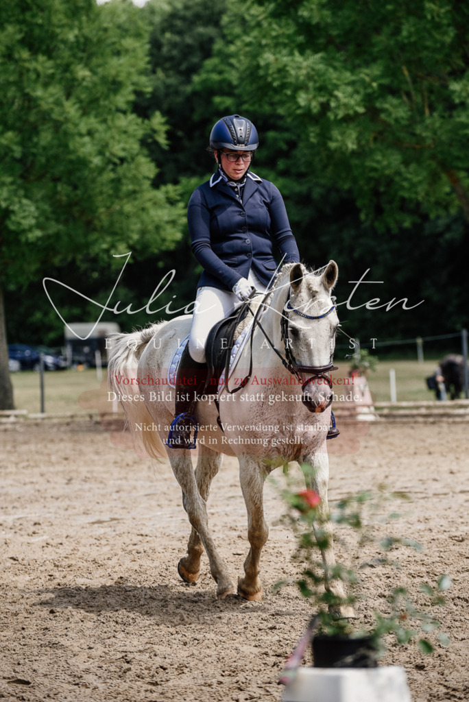 DSC_1823 | Pferde- und Turnierfotografie in Westsachsen. Pferdeportraits, Auftragszeichnungen und intuitive Kunst.