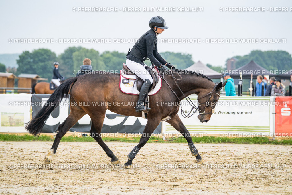 DSC00655 | Pferdegrafie