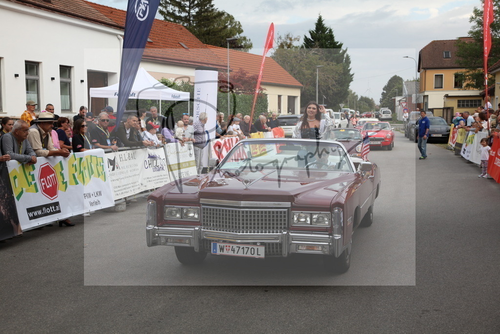 IMG_6310 | Gerhard Witt