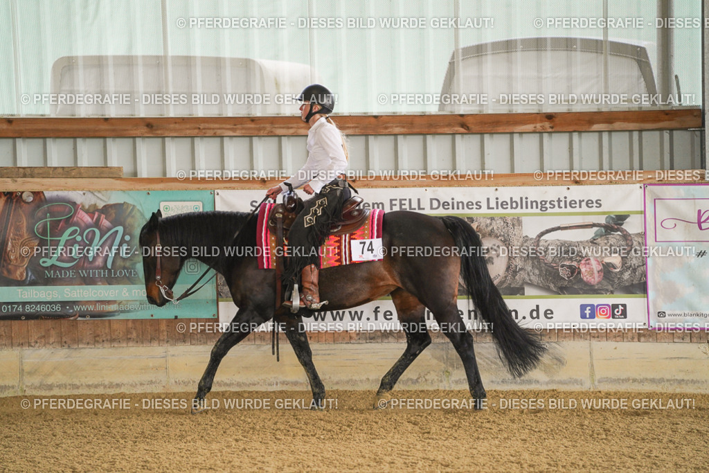 DSC08502 | Pferdegrafie